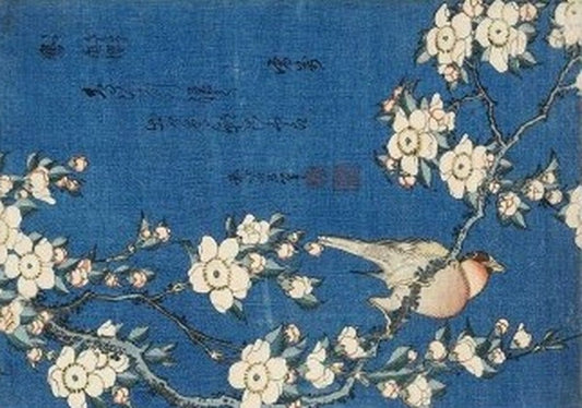 Blue Inked Bird ~ A1 23"x33" Rice Paper - Decoupage Queen